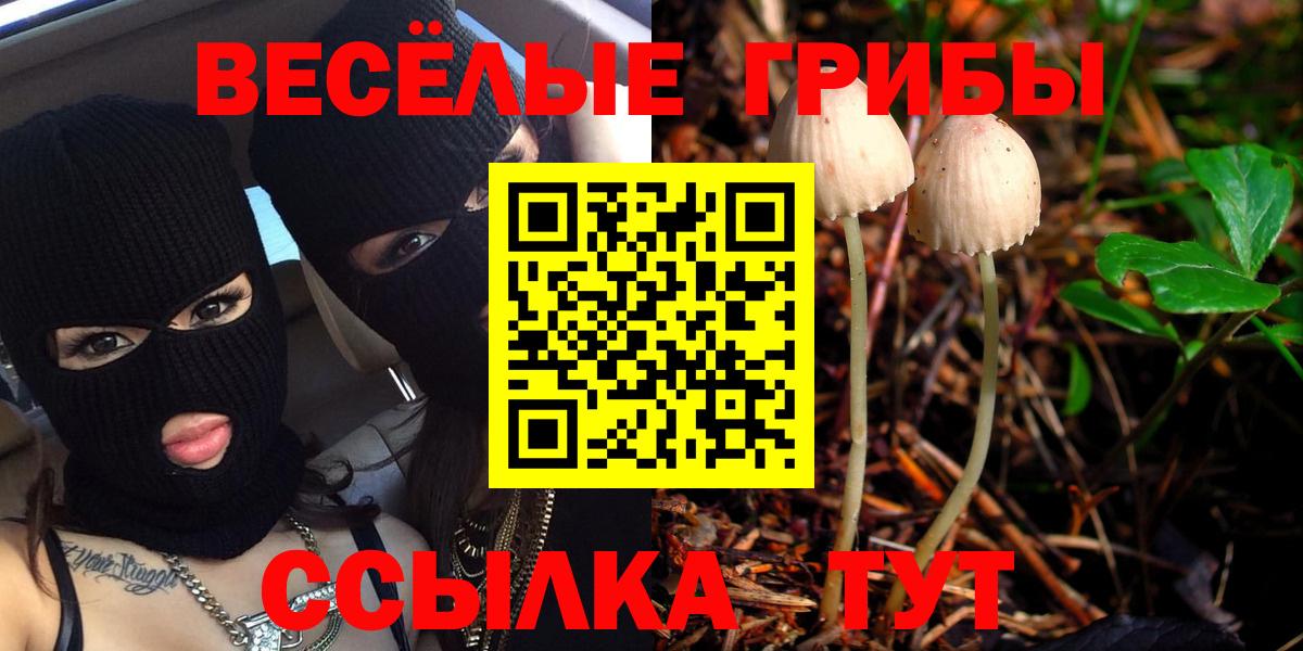 Галлюциногенные грибы мухоморы  Галлюциногенные грибы ЛСД  купить закладку  Благовещенск  Вход с VPN 